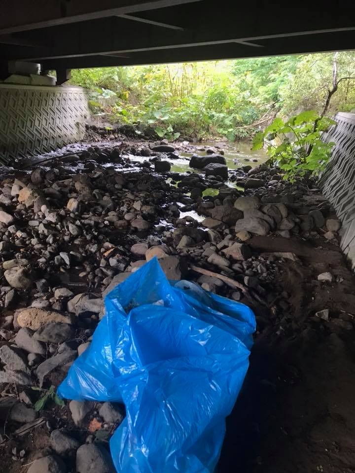 プラスチックを食べる時代 Npo法人北海道自然資源活用機構