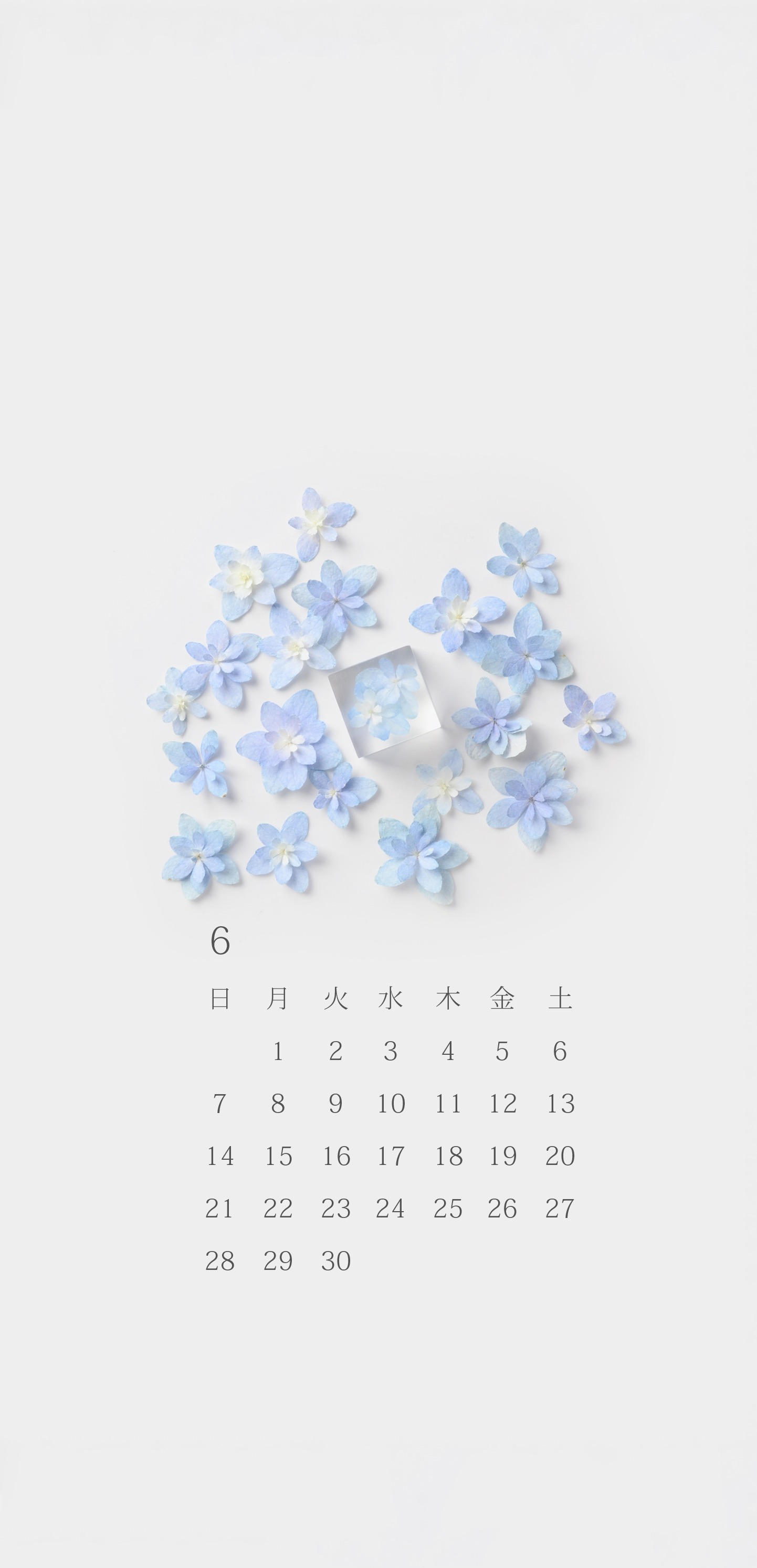 無料ロック画面カレンダー 6月 紫陽花 Michicusa Jewelry