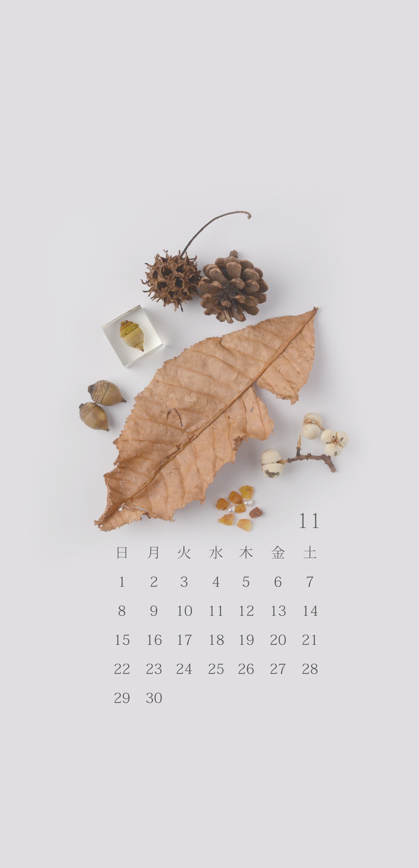 無料ロック画面カレンダー 11月 どんぐりと秋の景色 Michicusa
