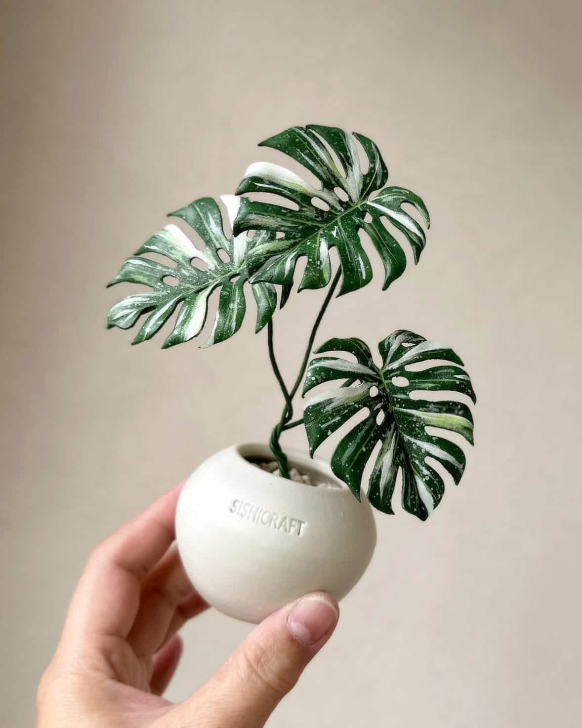 台湾で出会った、レザーのモンステラ——SISHI CRAFT × tokyoplants