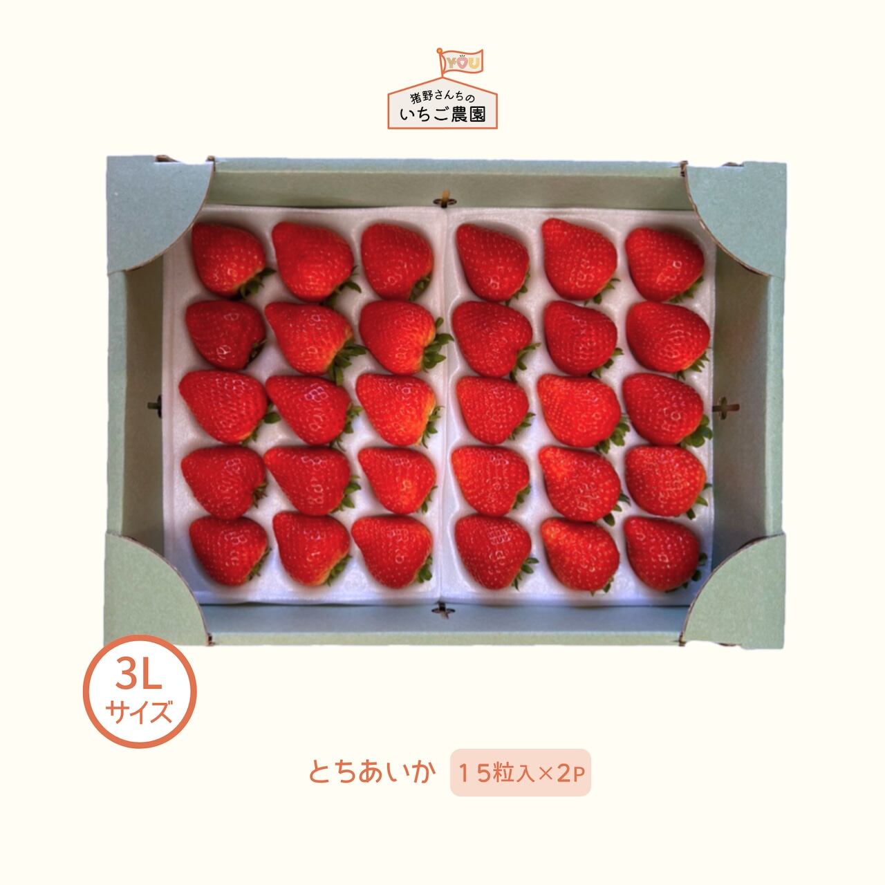 ＊いちご＊*5点 猪野さんちのいちご農園｜産直通販「あるよ」応援プロジェクト