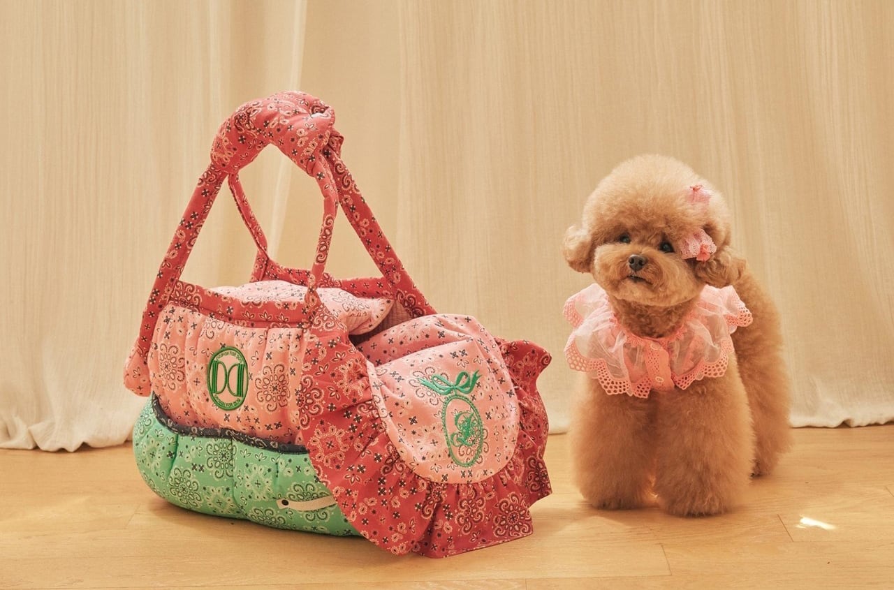竜そば様5点　丸底巾着バッグL コヤンイサムチョン　モキチャン　犬 Design for dog「Dimsum Bag」韓国でも入手困難な人気バッグ | asone