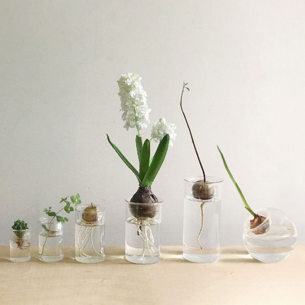 球根の季節に【BULB VASE】 | SOW online store