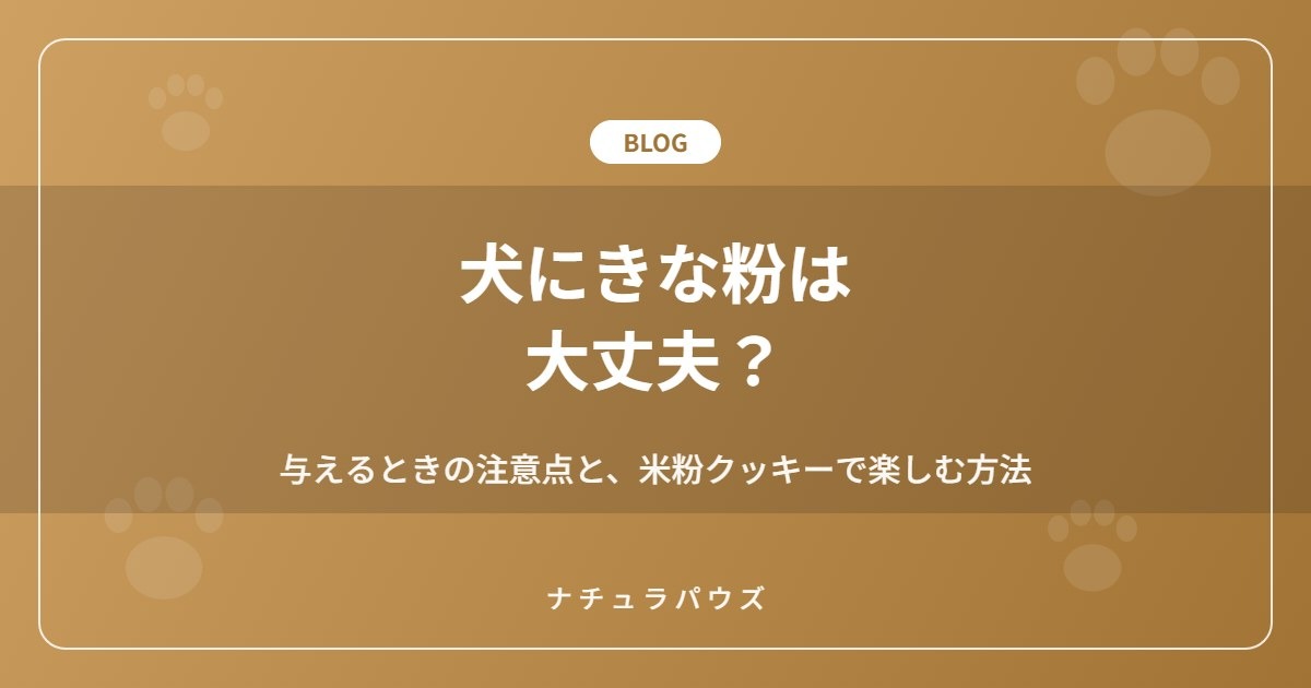 犬にきな粉は大丈夫？与えるときの注意点