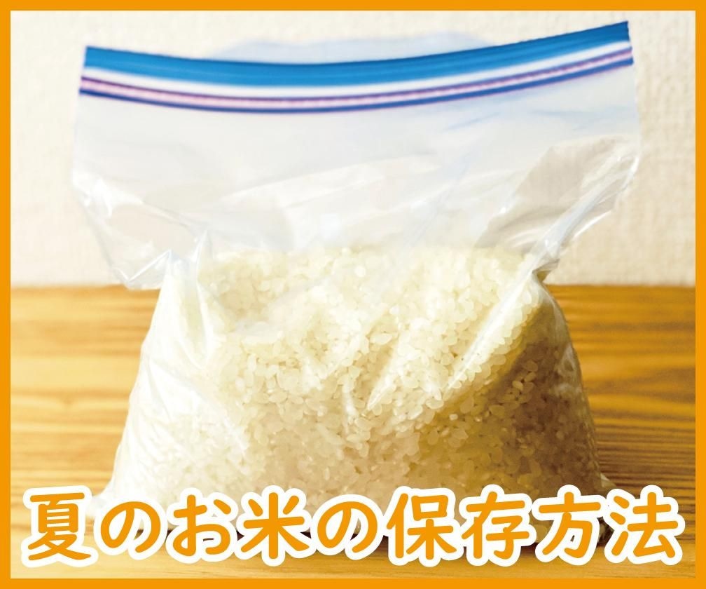 保存袋に小分けしたお米と「夏のお米の保存方法」の文字