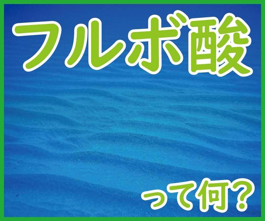 フルボ酸エキス末とHuFufermeのイメージ
