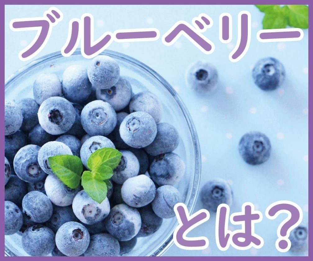 ブルーベリーとは？