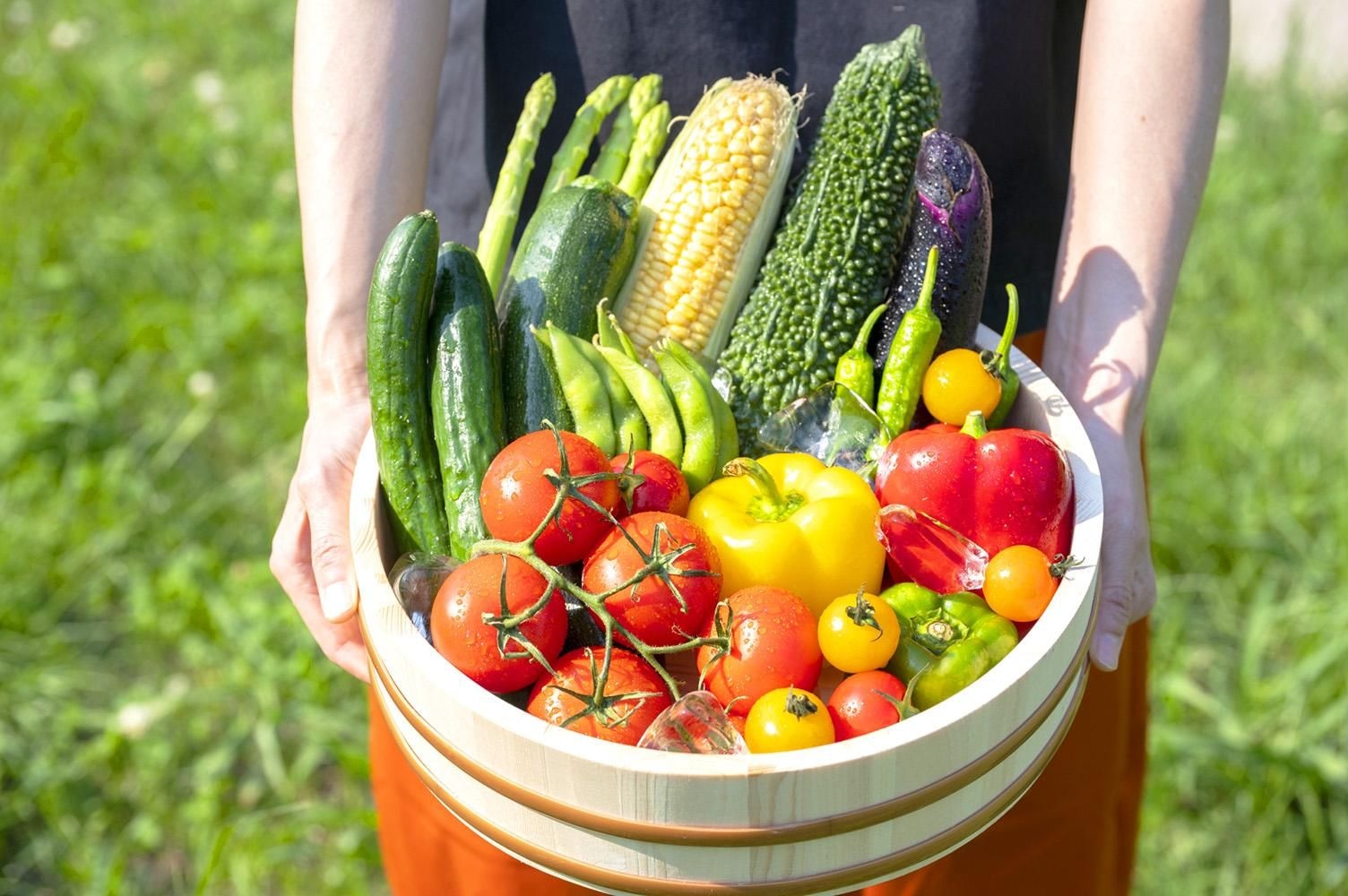 木桶いっぱいのとれたての新鮮な野菜を抱える様子