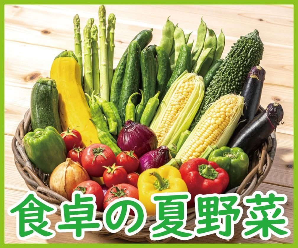 夏野菜、毎日の食卓に上手に取り入れるために