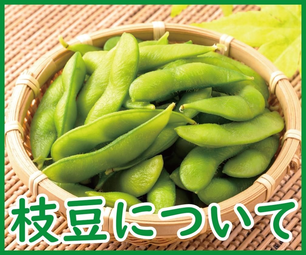 定番おつまみの枝豆について