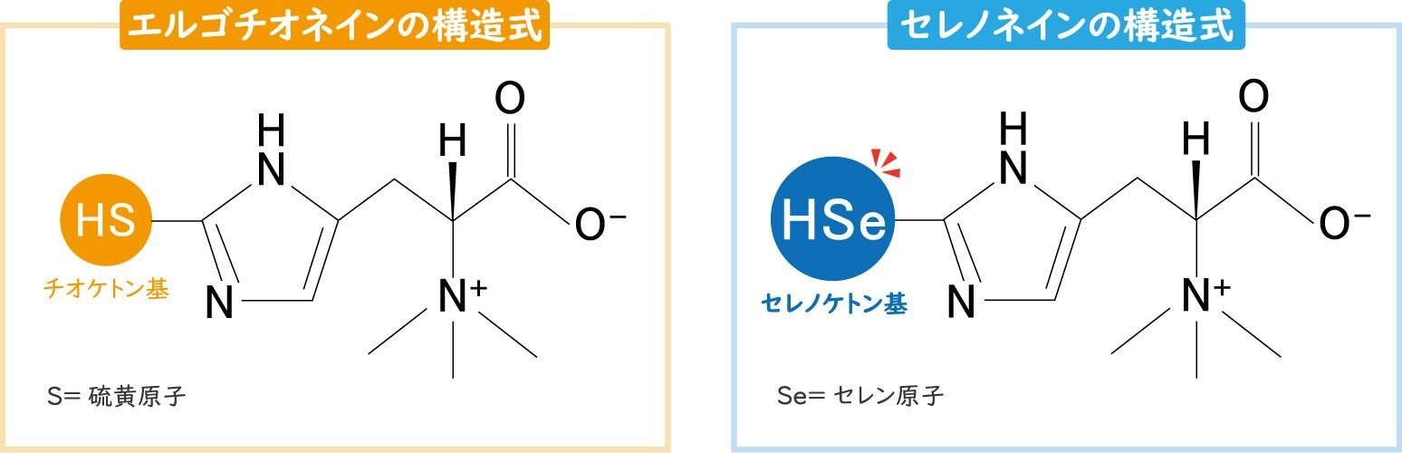構造式