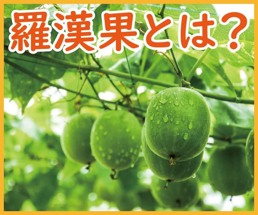 羅漢果（ラカンカ）とは：中国・広西チワン族自治区原産のウリ科のつる植物が実らせる、まんまるの果実のイメージ