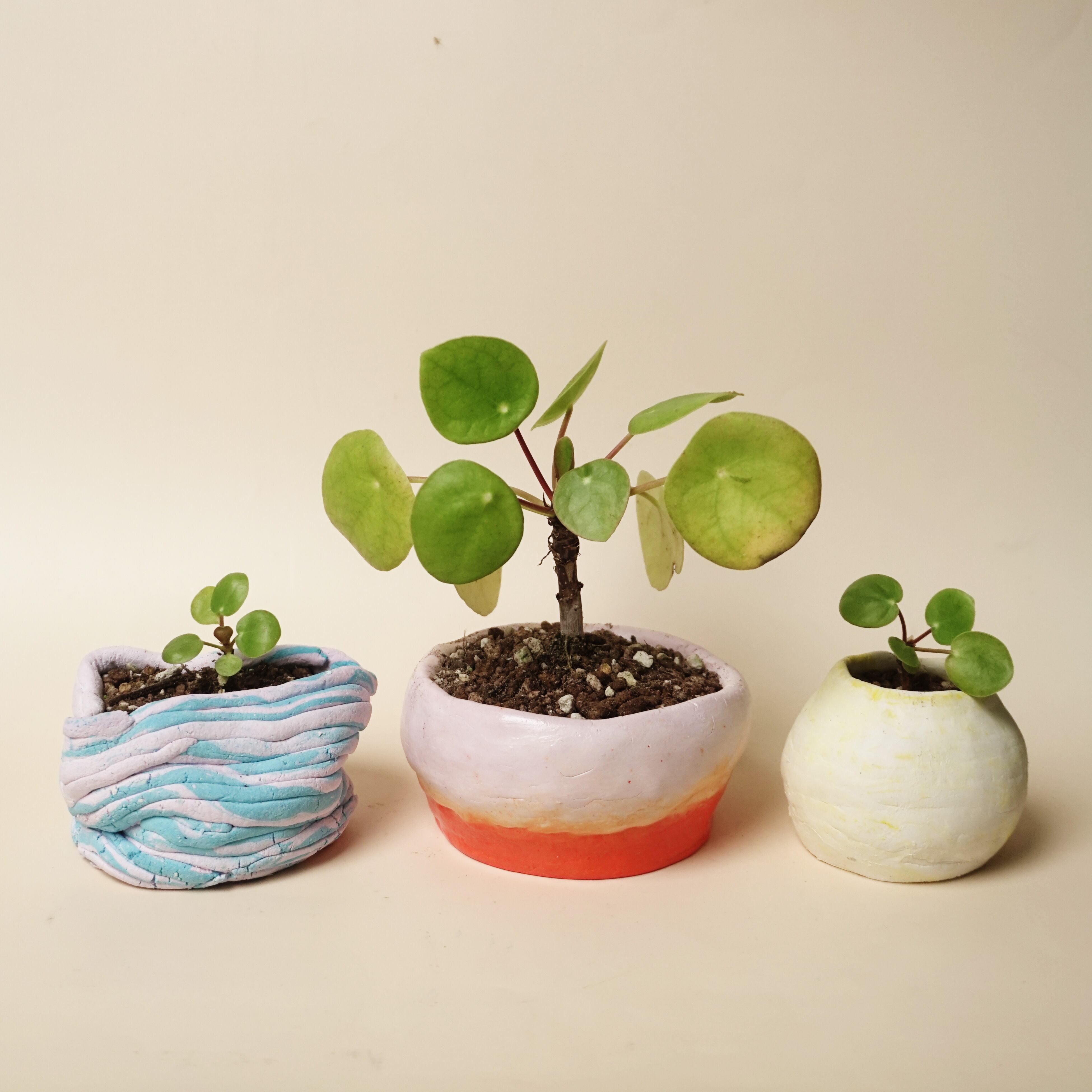 鈞窯 植木鉢支え 水盤 鈞窯 植木鉢支え 水盤 【公式通販】