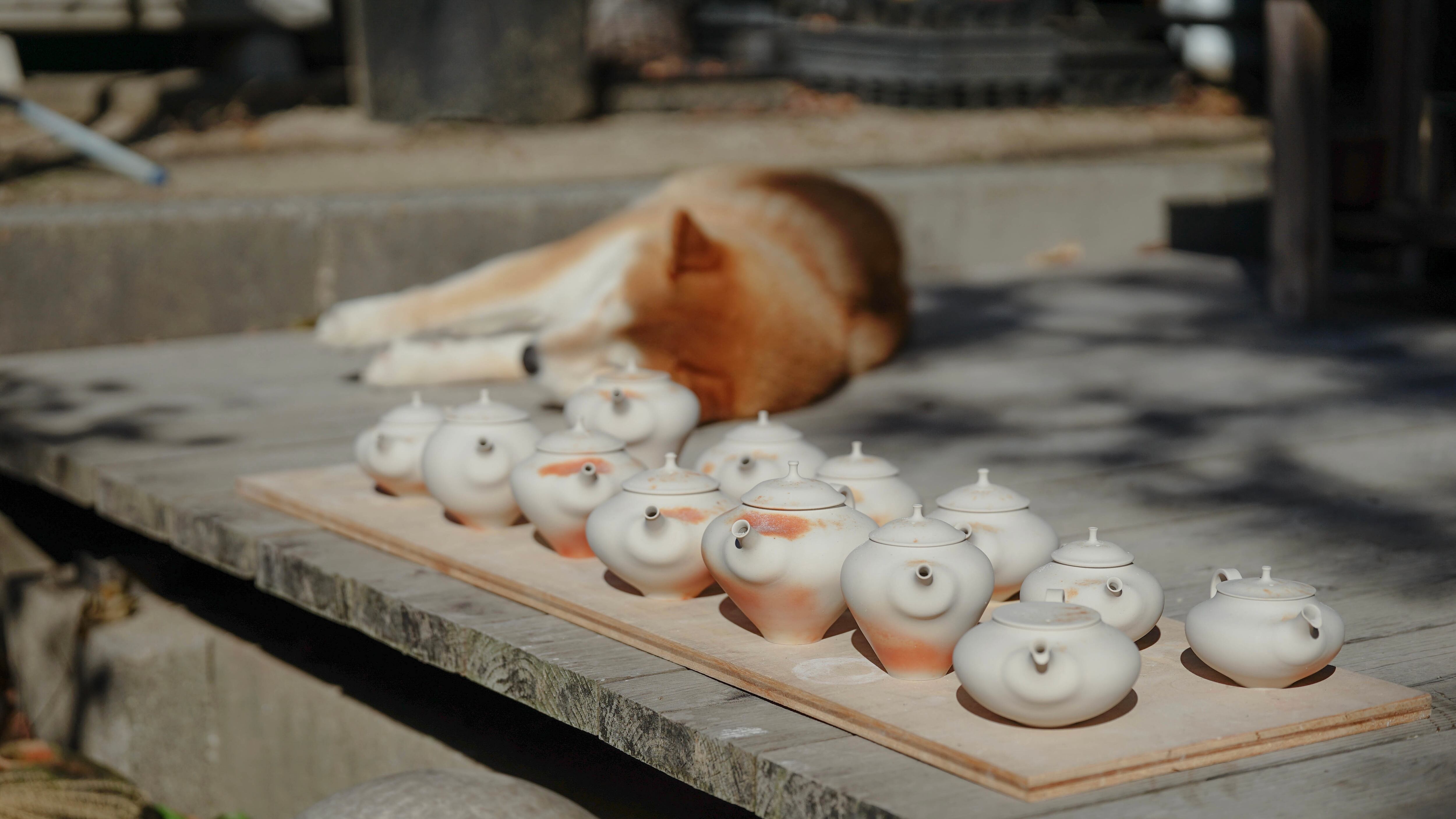 鮫島陽 ~ 窯詰編 ~ | MATOYA