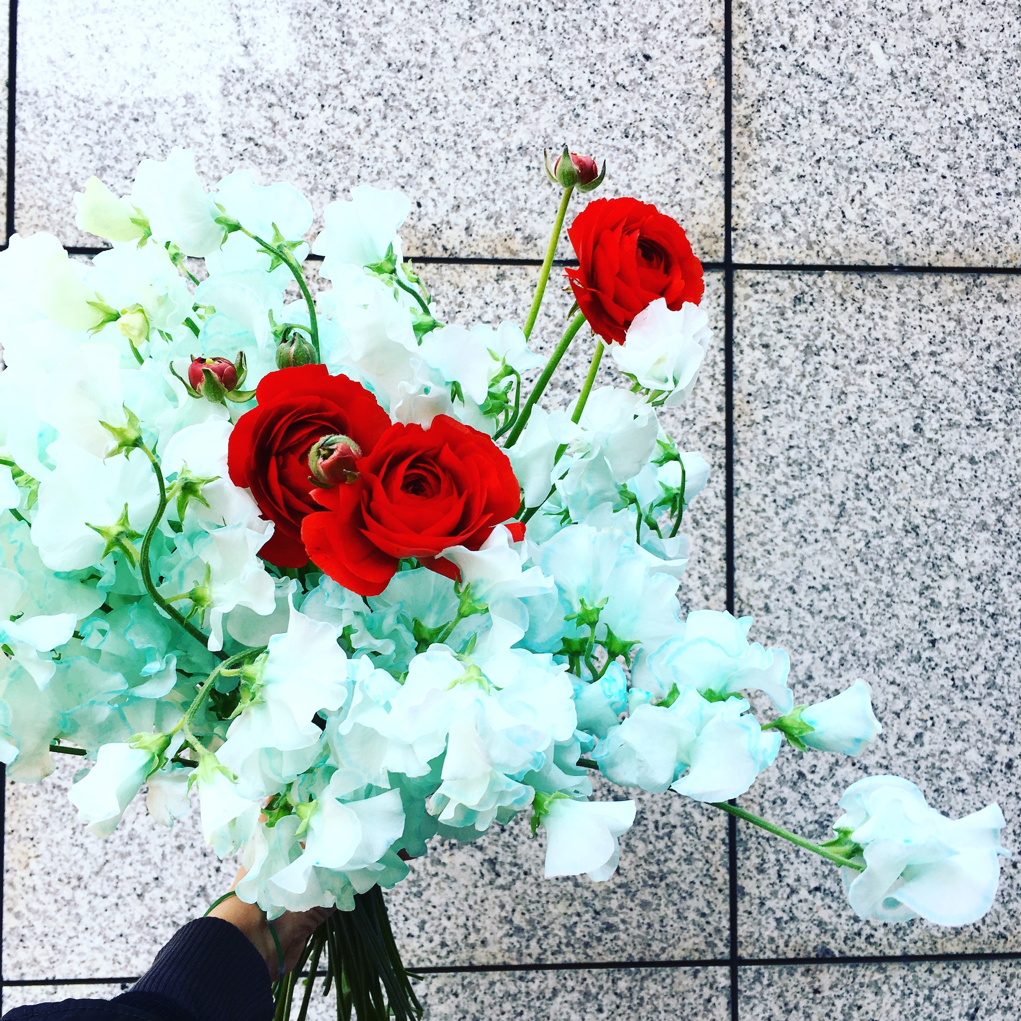 Spring Has Come ハルカゼフラワー Spring Has Come ハルカゼフラワー