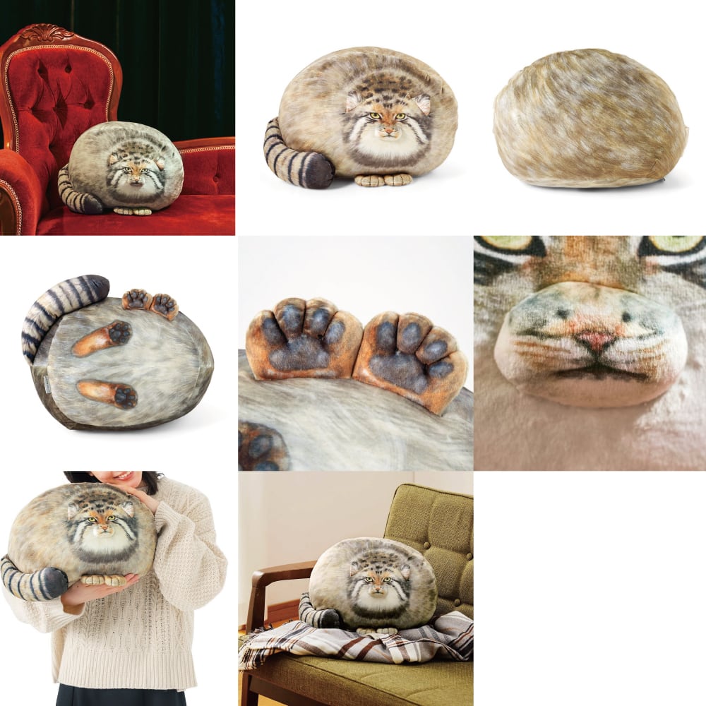実店舗限定「猫クッション(丸すぎる世界最古の猫マヌルネコもっちり