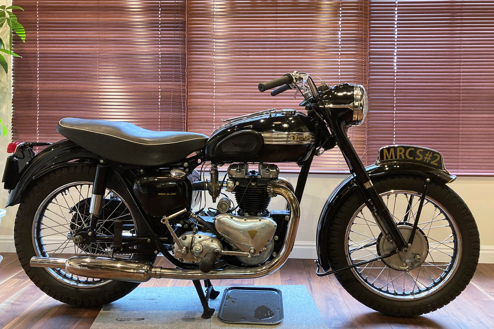 Triumph 6T Black Bird | PREBLIC