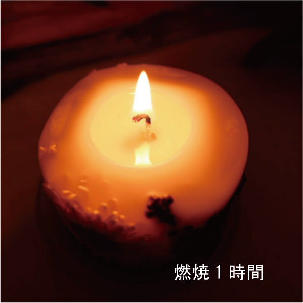 ボタニカルキャンドル 灯し方 ａサイズ Atelier44 310brand Flower Green Candle And More