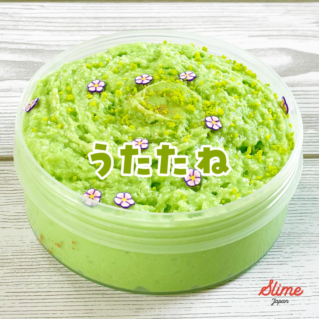 スライムジャパン パントビスケット お茶 スライム Slime Japan 抹茶