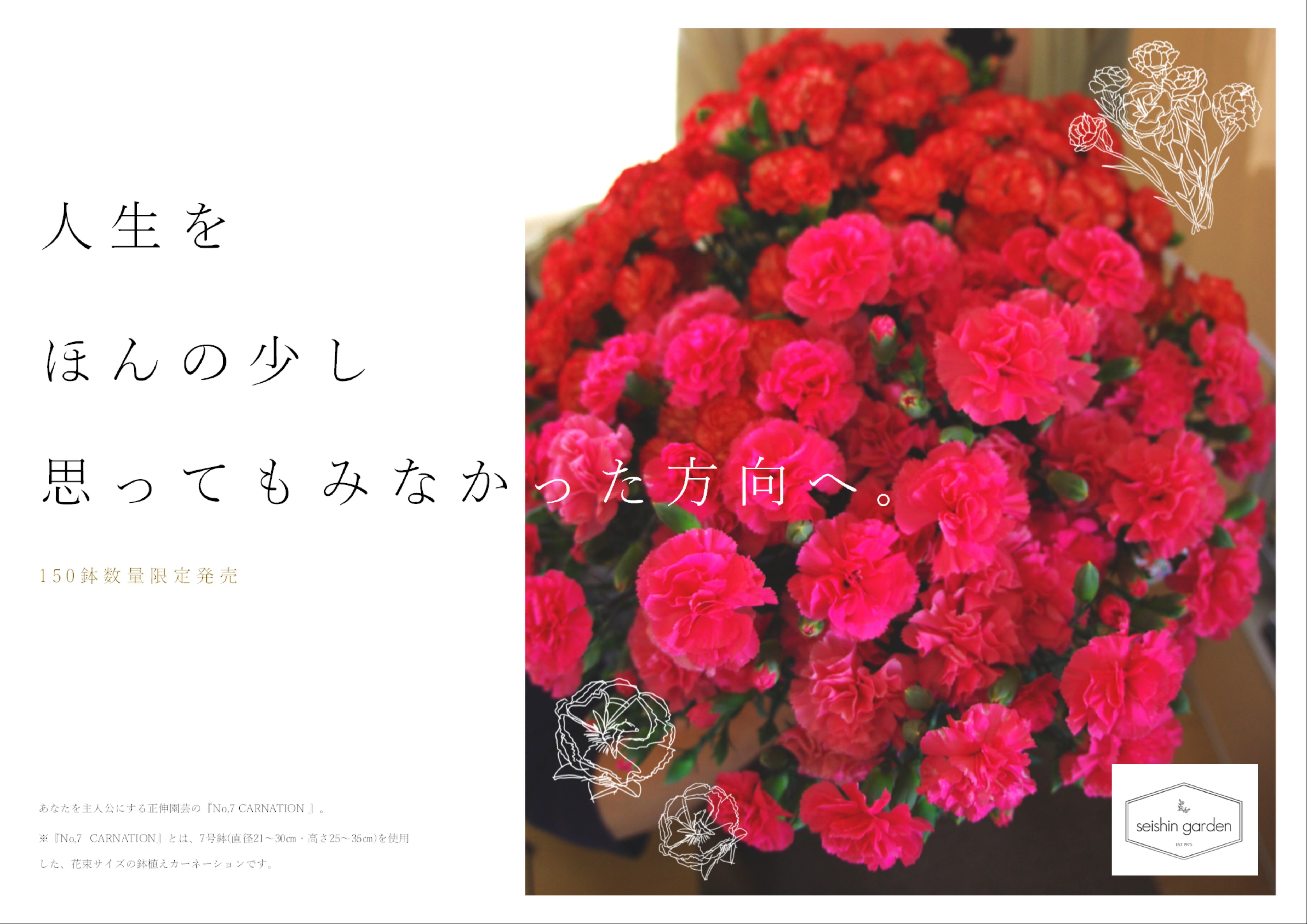 ucifer - CARNATION CRIME PV - YouTube
