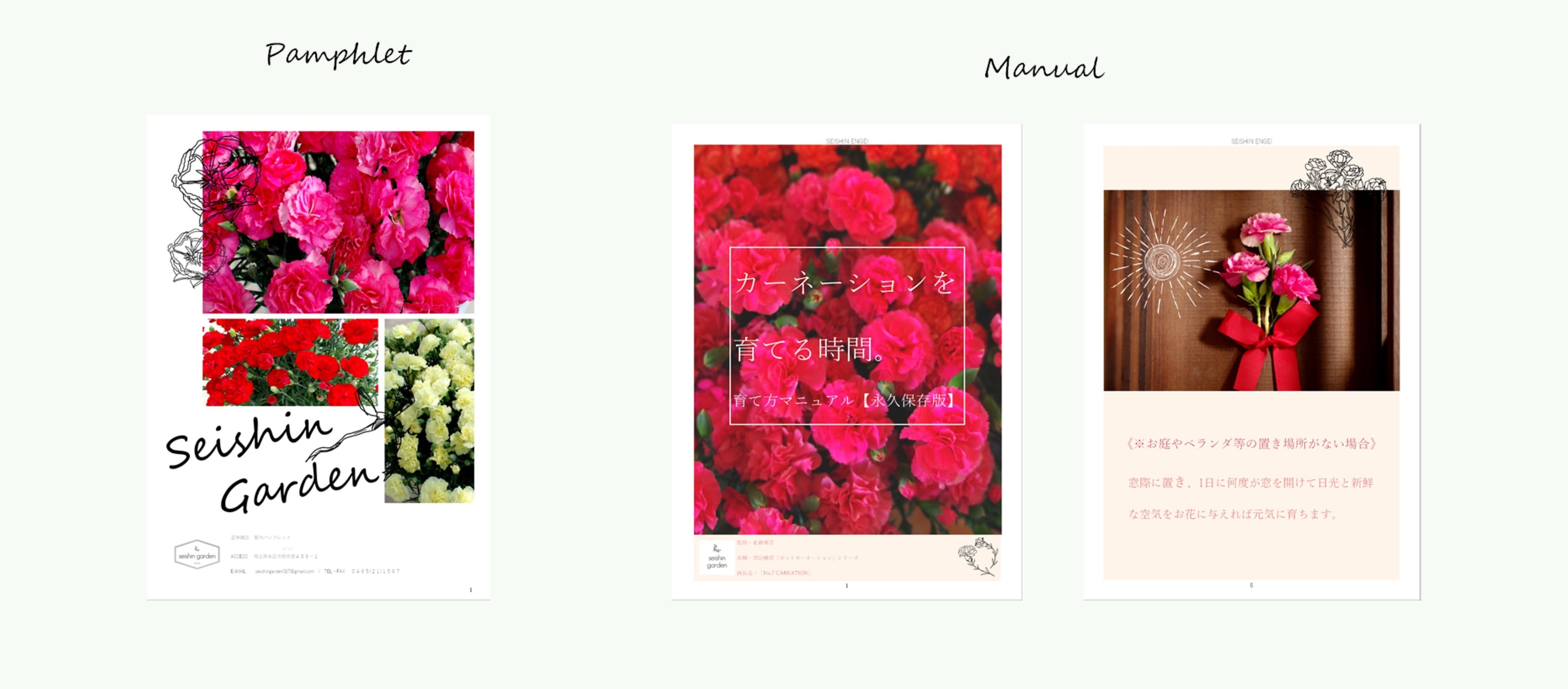 はじめまして＆「No,7 CARNATION」発売開始しました！ | SEISHIN