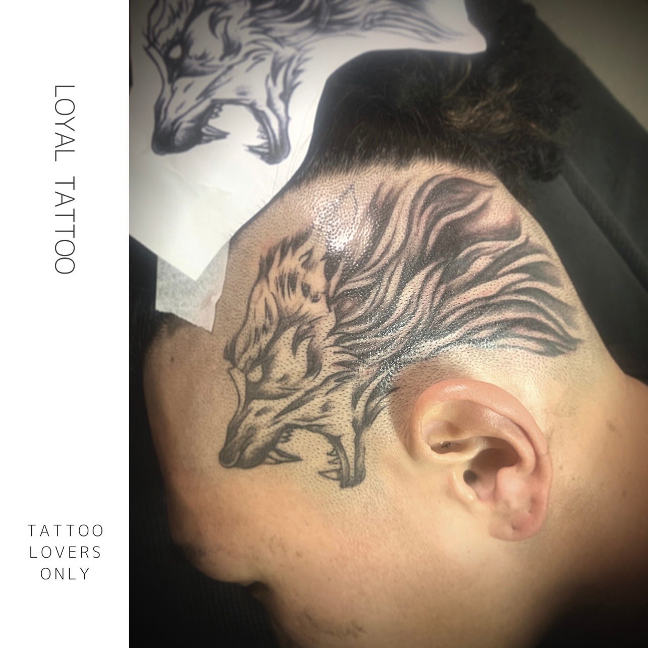 タトゥーギャラリー 東京渋谷タトゥースタジオ Loyal Tattoo Tokyo Loyal Tattoo 刺青師 渋谷伊彫 東京南青山 大阪アメ村 In デスペラードタトゥー