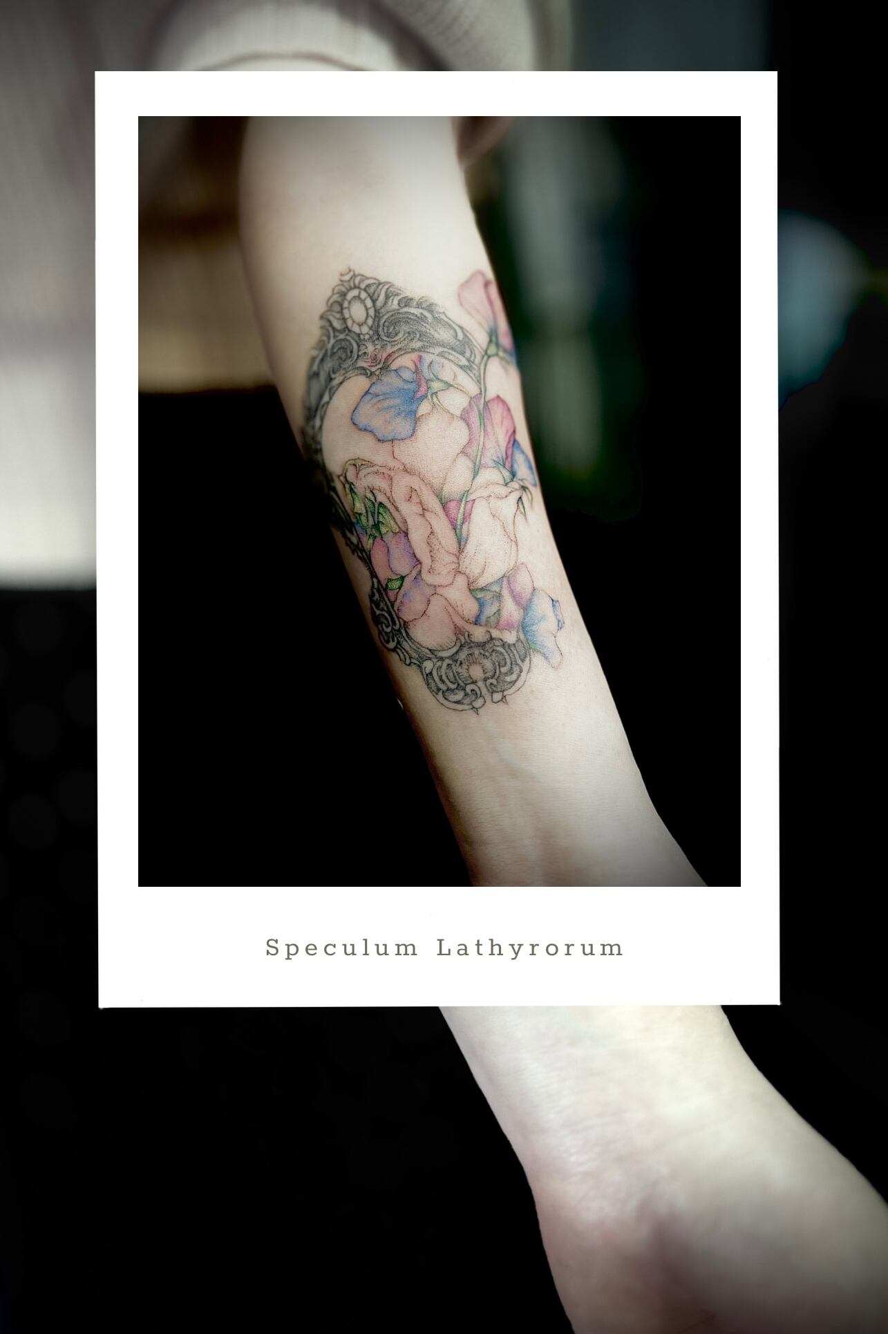 全国無料，送料無料】 ☆レトロコレクション 刺青 刺青美人画 TATOOING