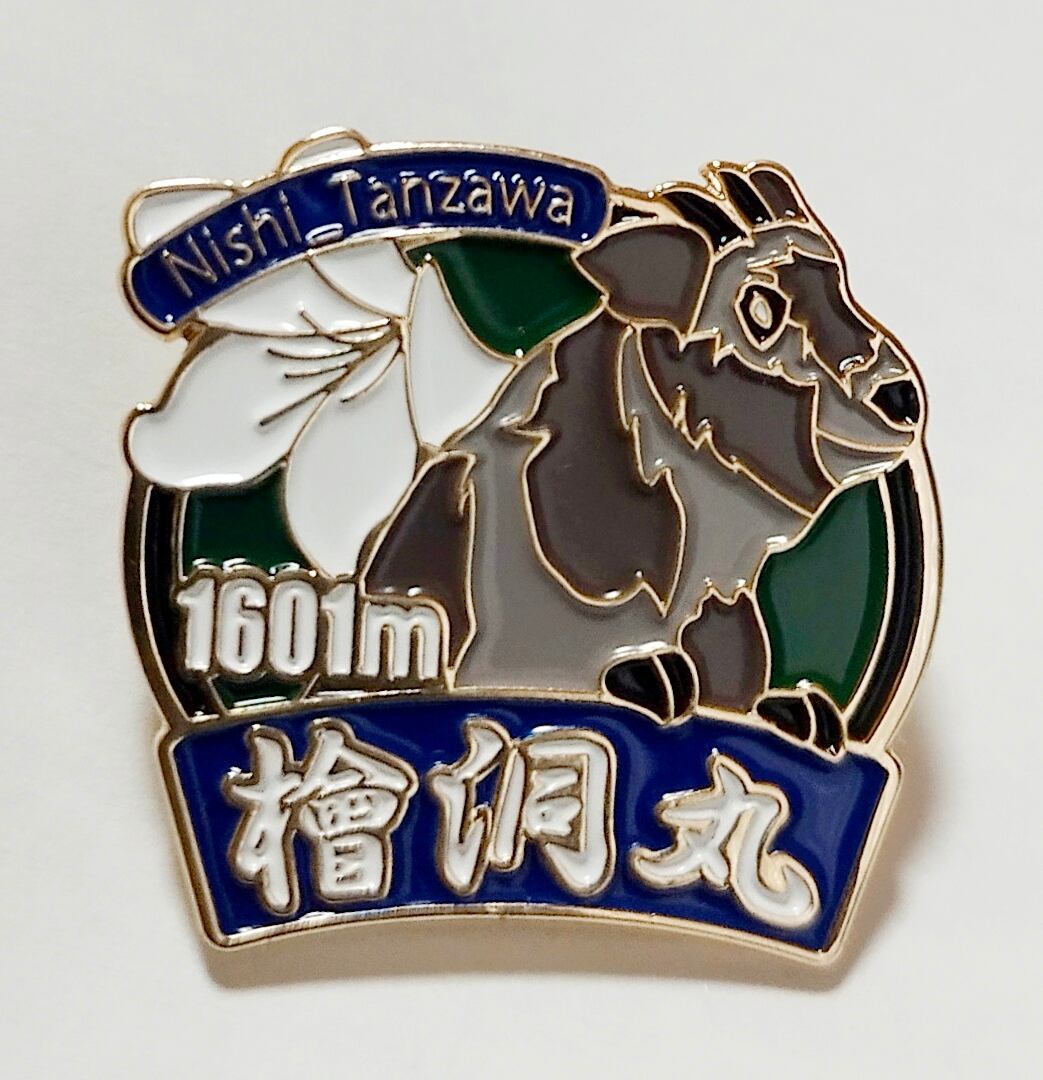 登山バッジ　群馬県 049003-b11-