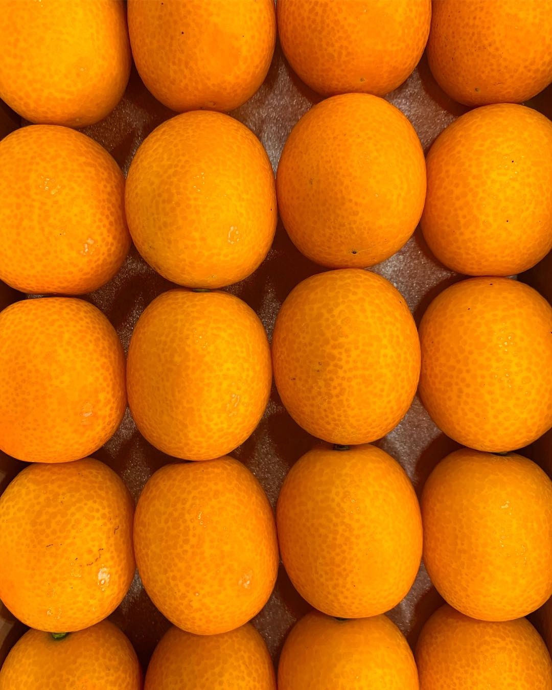 高知県の冬から春にかけて柑橘類が楽しめます All Slow Food オールスローフード