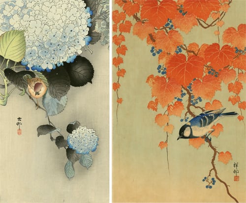 小原古邨【太田記念美術館】 | MIYACODORI