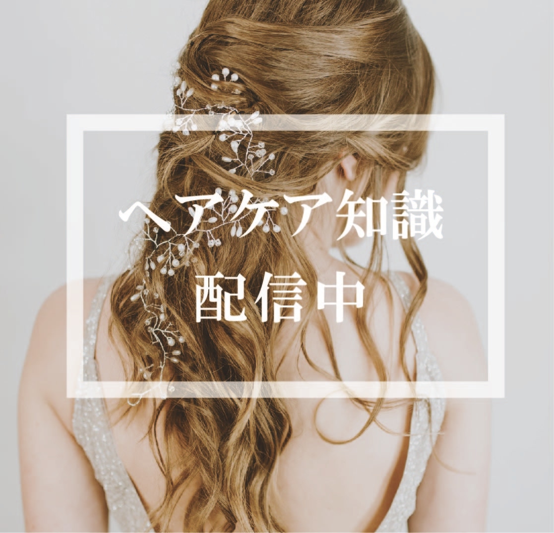 ヘアケア方法 ヘアケア知識を配信中 Imblend 女性の頭皮の悩みを解決するヘアケアブランド ヘアケア方法 ヘアケア知識を配信中 Imblend 女性の頭皮の悩みを解決するヘアケアブランド