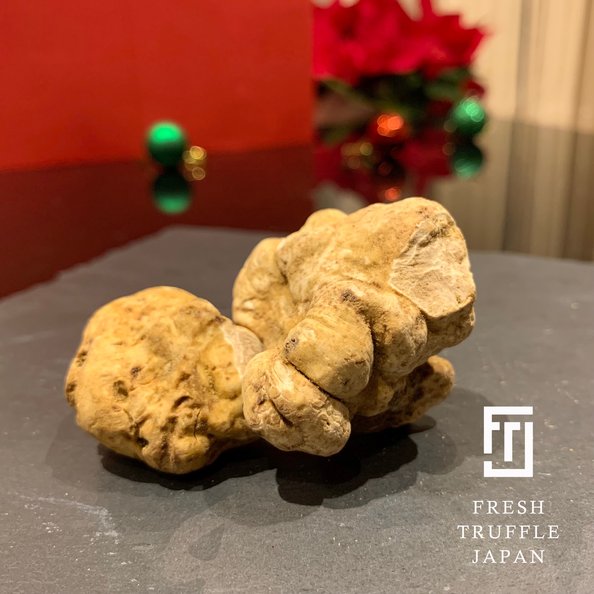 トリュフの種類と特徴について Fresh Truffle Japan フレッシュトリュフジャパン