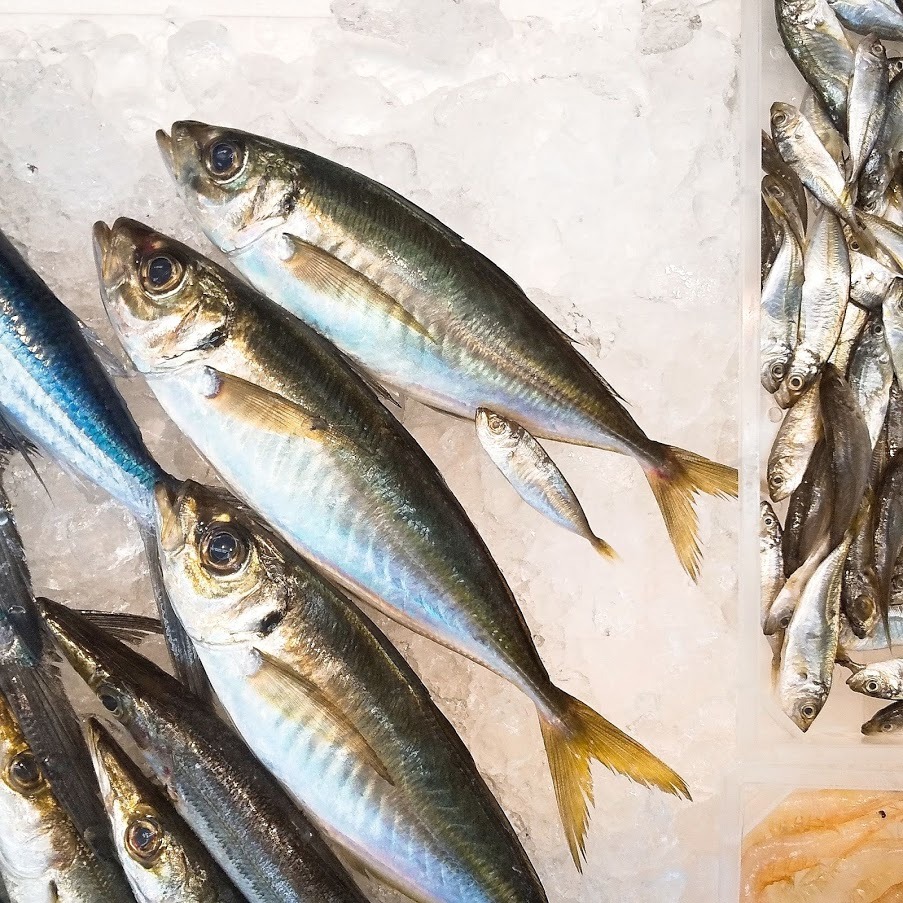 この魚どうやって食べるの 豆アジ 伍右衛門