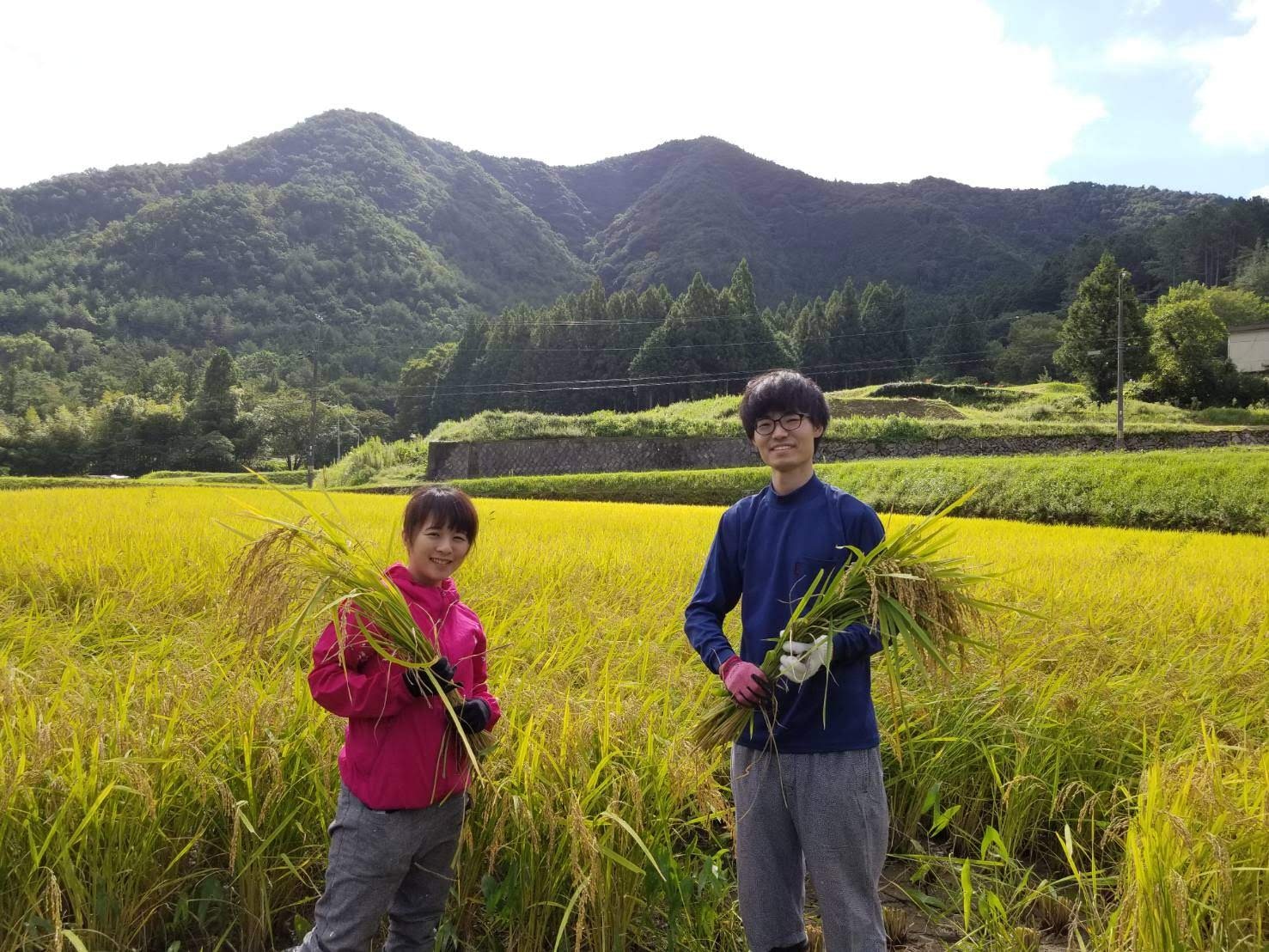 ふえのみち農園田んぼ 餅米 満月 9月 稲の収穫 大豊作 餠武 公式ホームページ