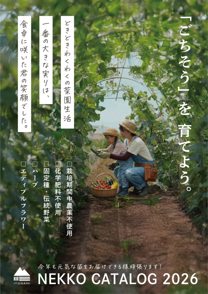 ハーブ・野菜の苗【固定種・無農薬】 | ITONAMI