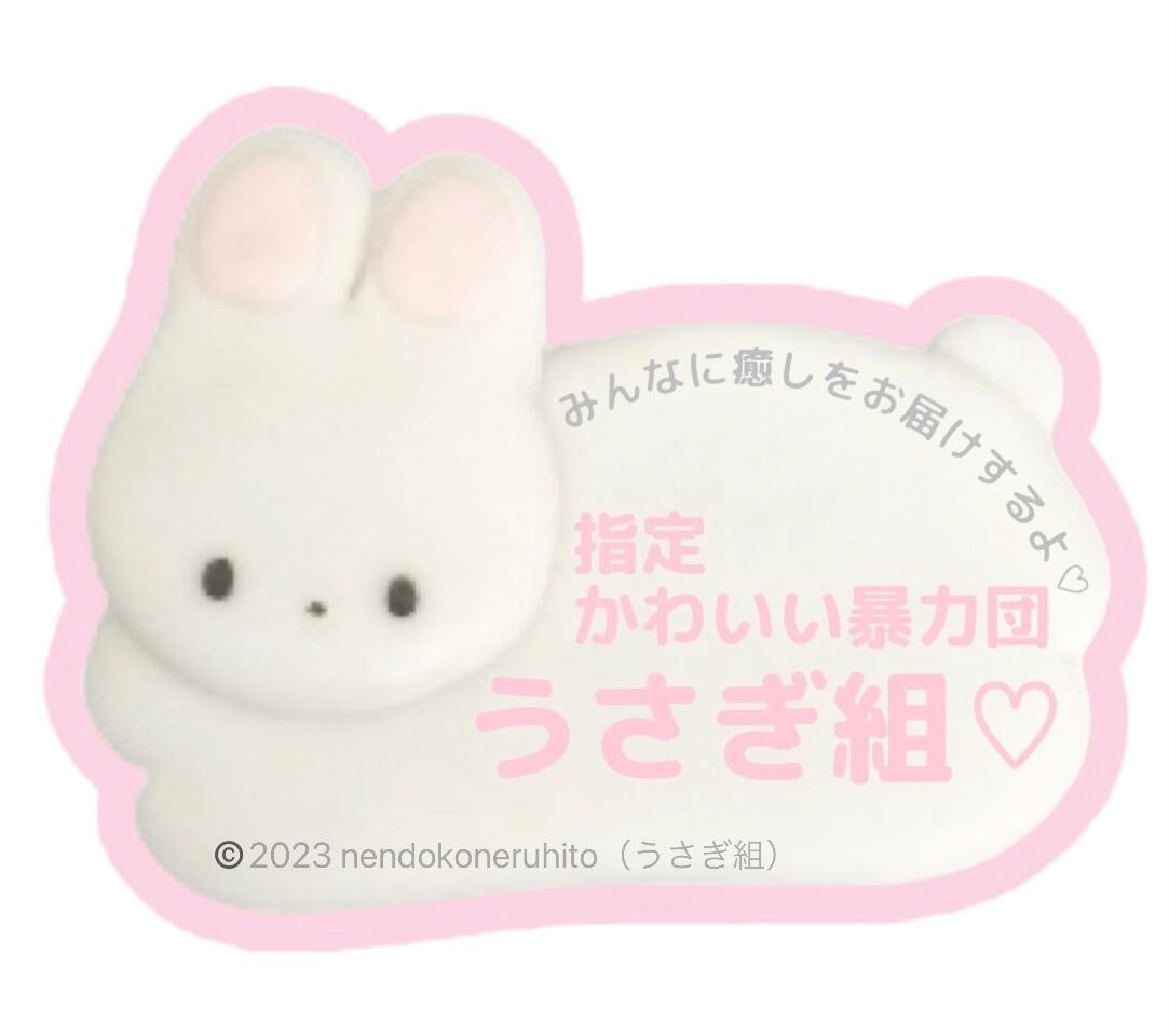 ぬぅちゃん うさぎ組 うさぴょん ２点セット ぬぅちゃんのおみせ〜うさぎ組〜