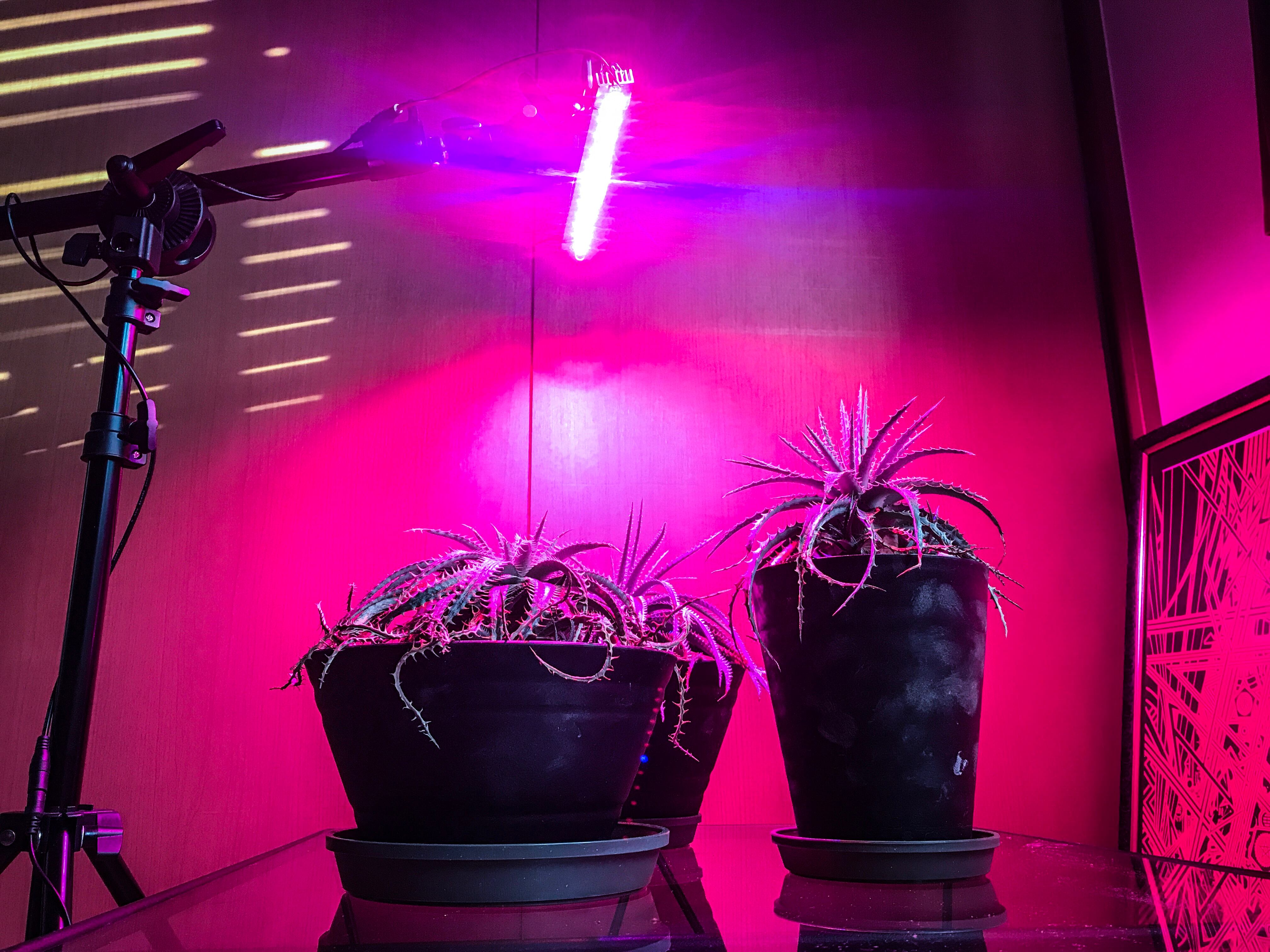 植物育成ライトを制作 | VIRGINAL 植物育成ライトを制作 | VIRGINAL