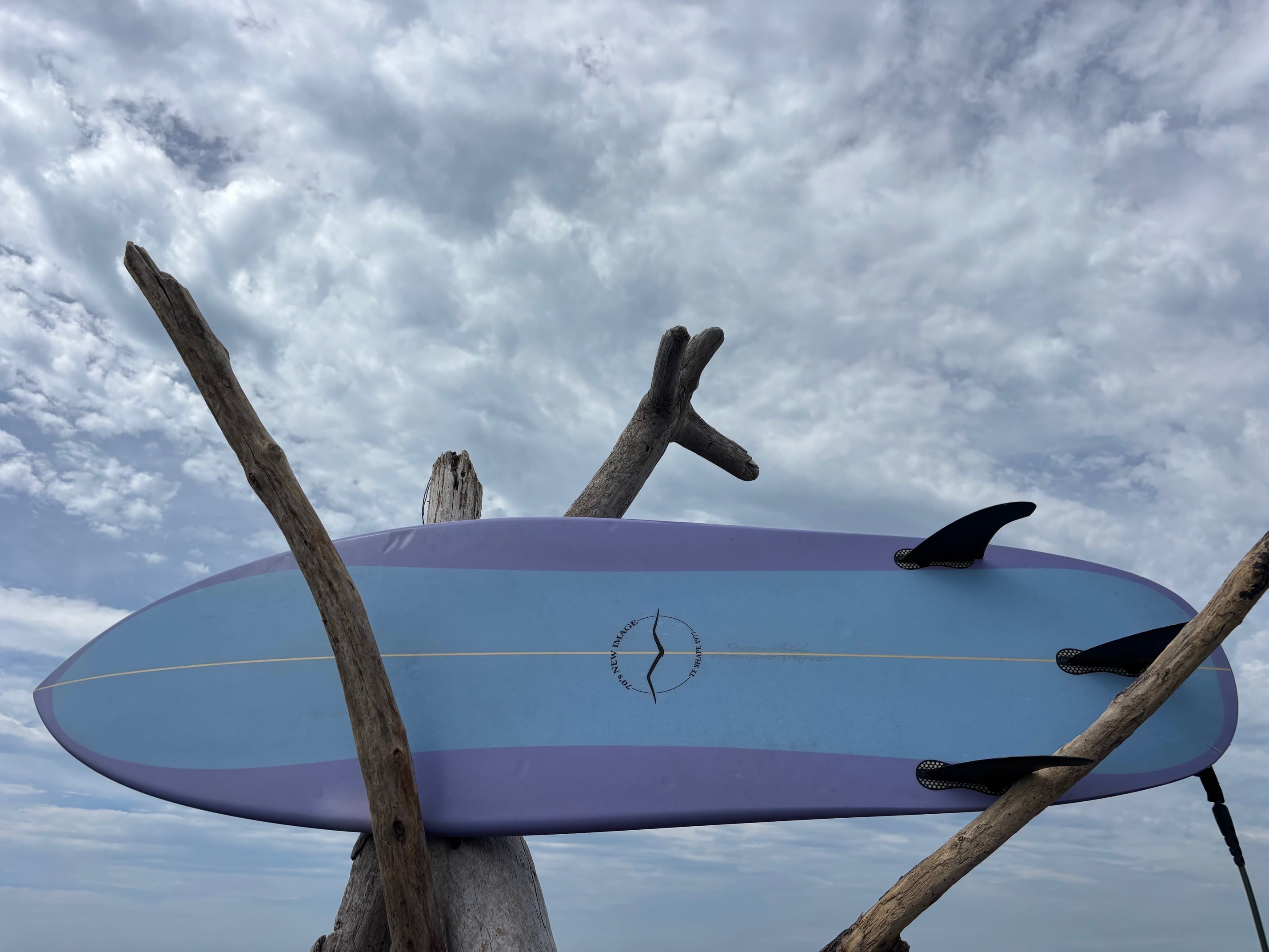 TF SURF SHOP