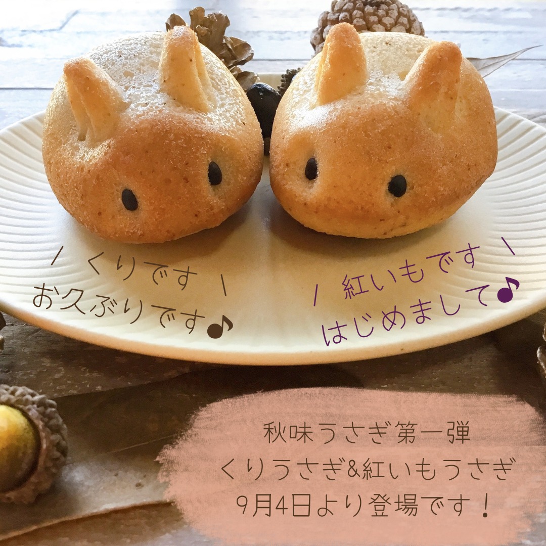 秋味うさぎの2種類をご紹介します お菓子スタジオｒｉｃｈｅ リッシュ