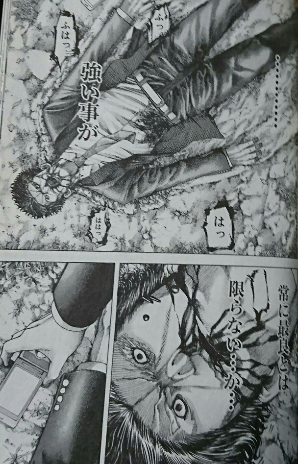 伽羅ちゃん最強 今話題の伽羅ちゃんの名セリフ Mgf Moph Gray Fur
