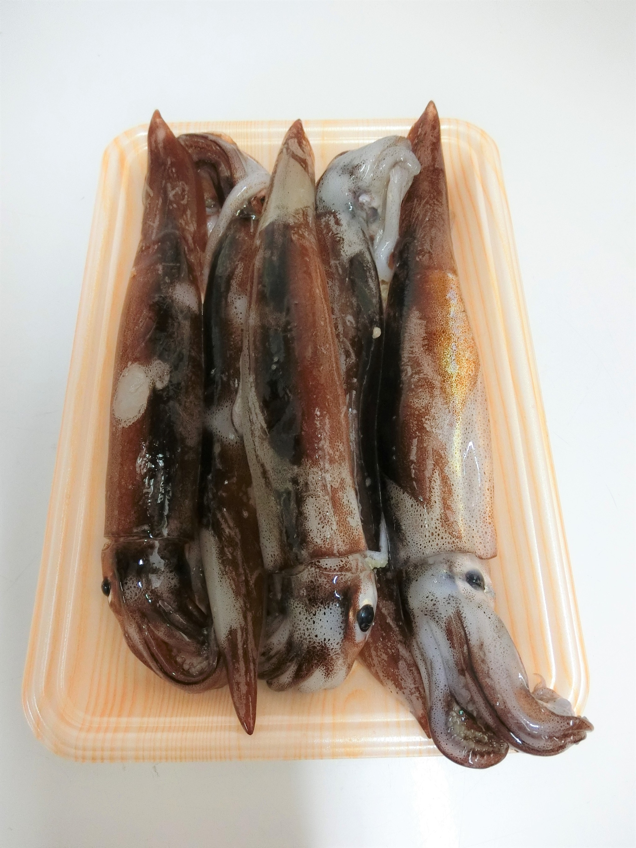 真イカ販売中 海館