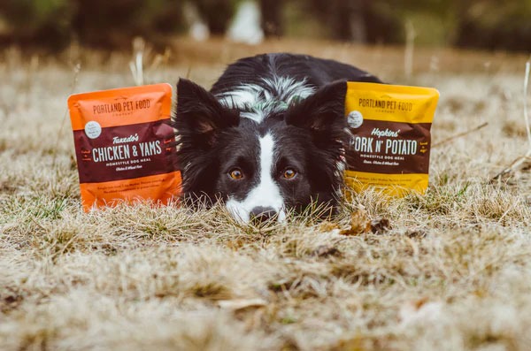 犬に肉の種類は必要ですか 犬にとって最適なタンパク質は Ppfc Japan Portland Pet Food Company In Japan