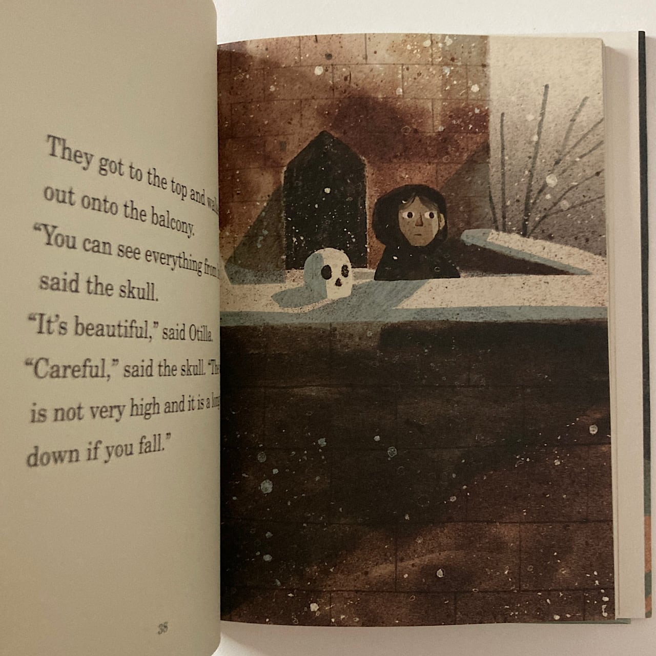 Anthony Browne | 素敵な洋書の絵本のお店 Read Leaf Books