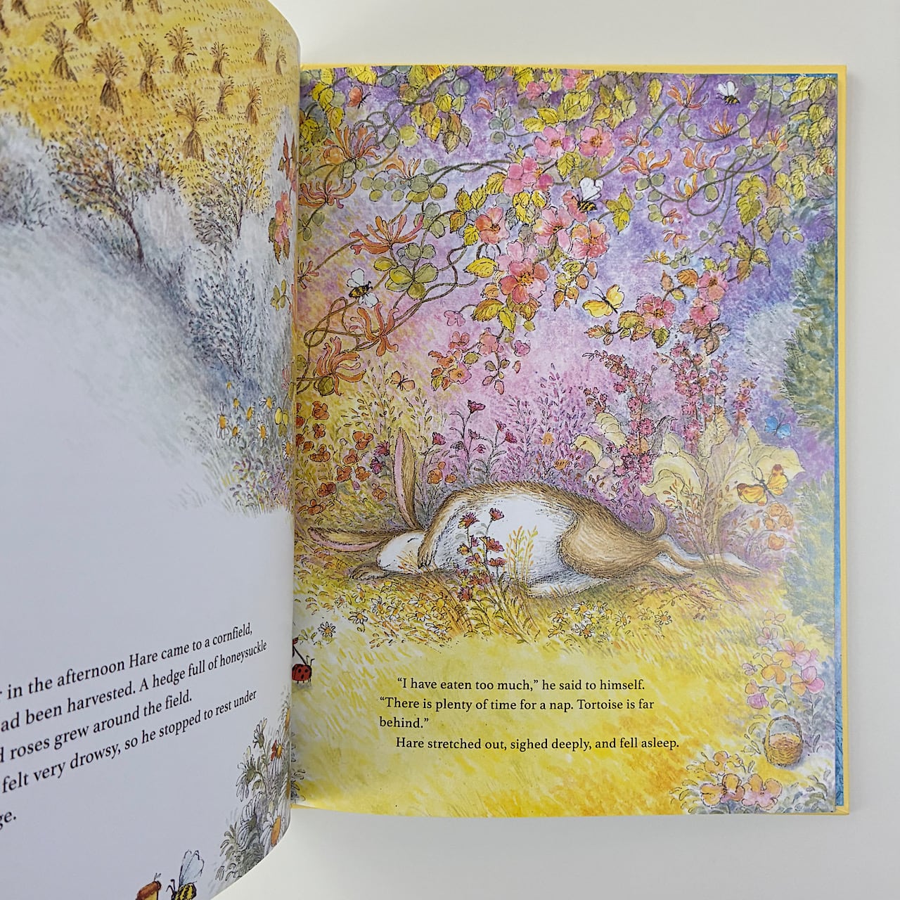 素敵な洋書の絵本屋さん Read Leaf Books