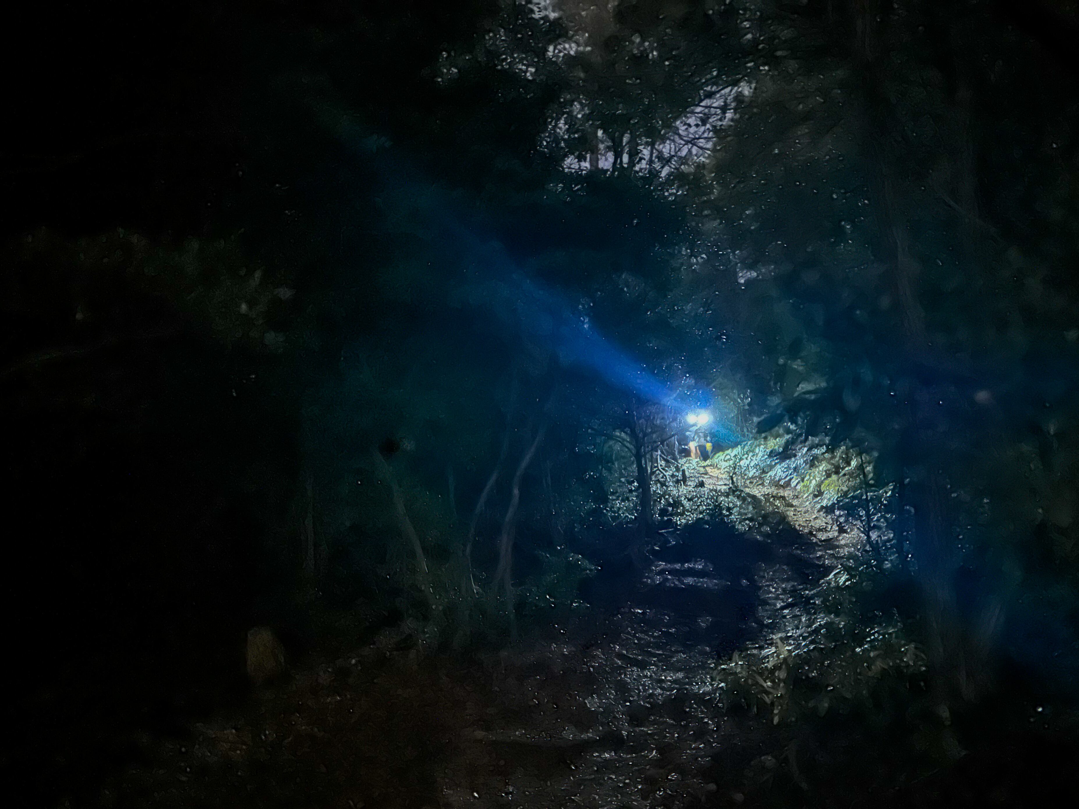 milestone（マイルストーン）」ヘッドランプ4モデルを徹底解説！あなた