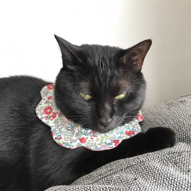 猫だっておめかし 猫ちゃんのオシャレ首輪 もくもくキャットスタイ 猫グッズの Nyanx Store