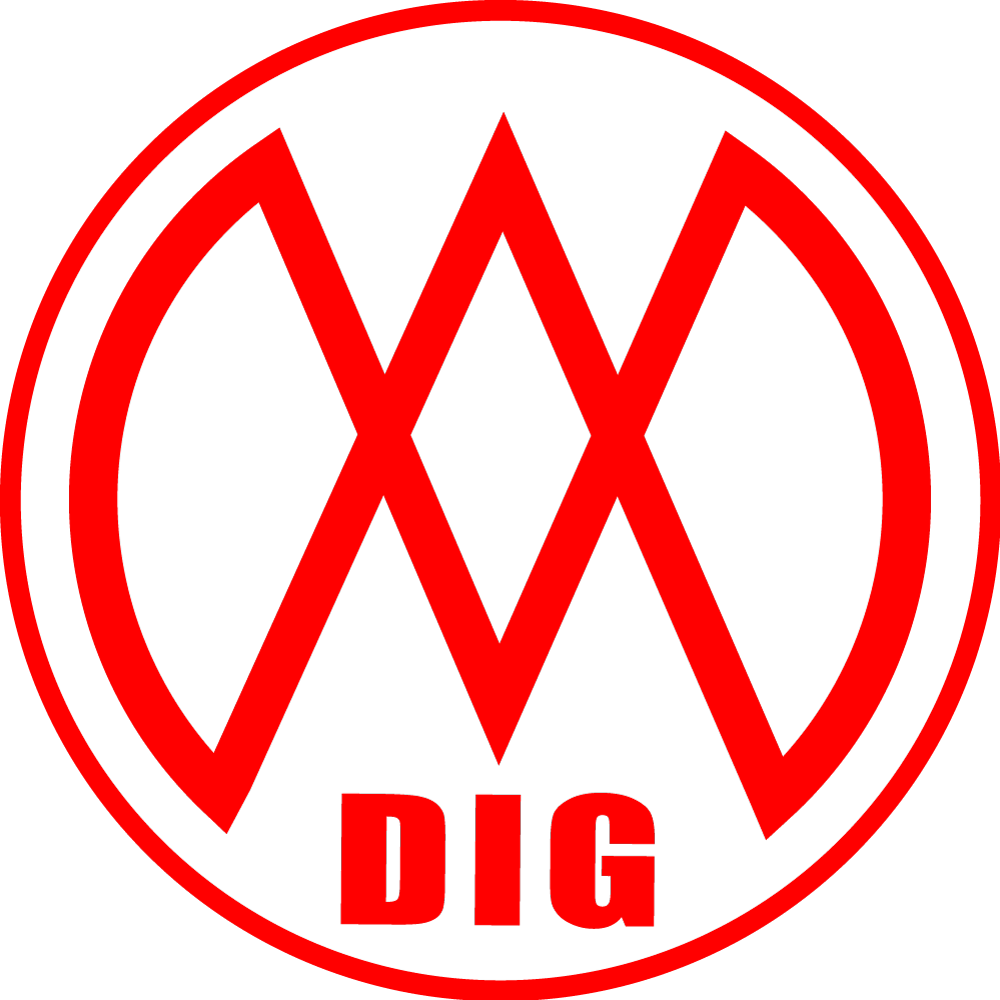 DIGMO（ディグモ）｜オーバーサイズストリートブランド