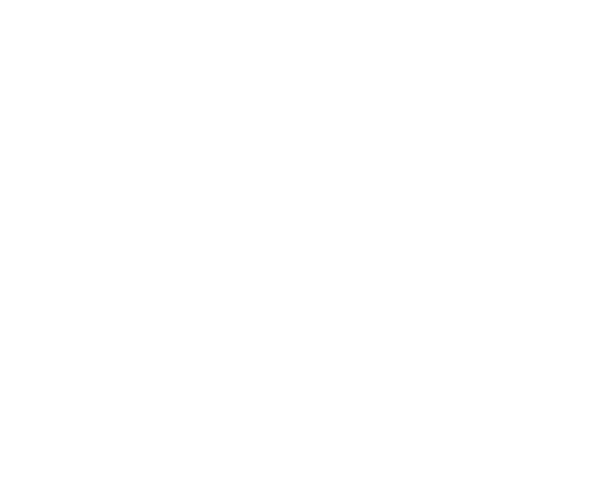 SAINT JORDI FLOWERS THE DECORATOR 母の日ギフト期間限定オンラインショップ