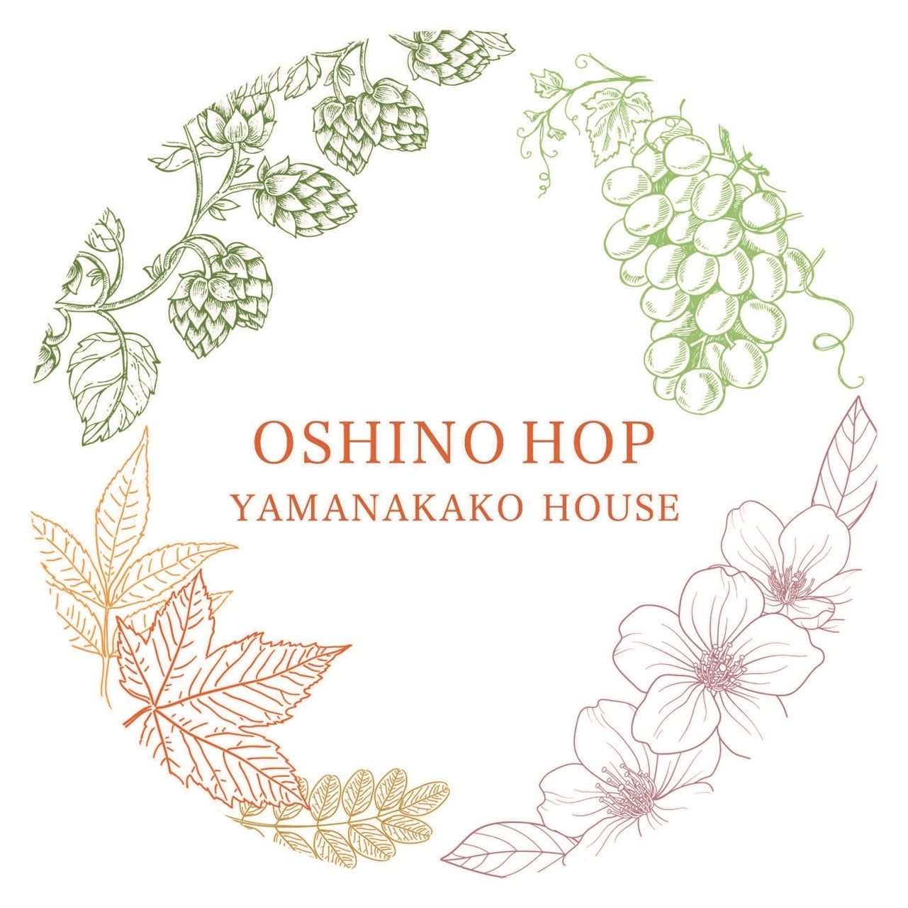 OSHINO HOP