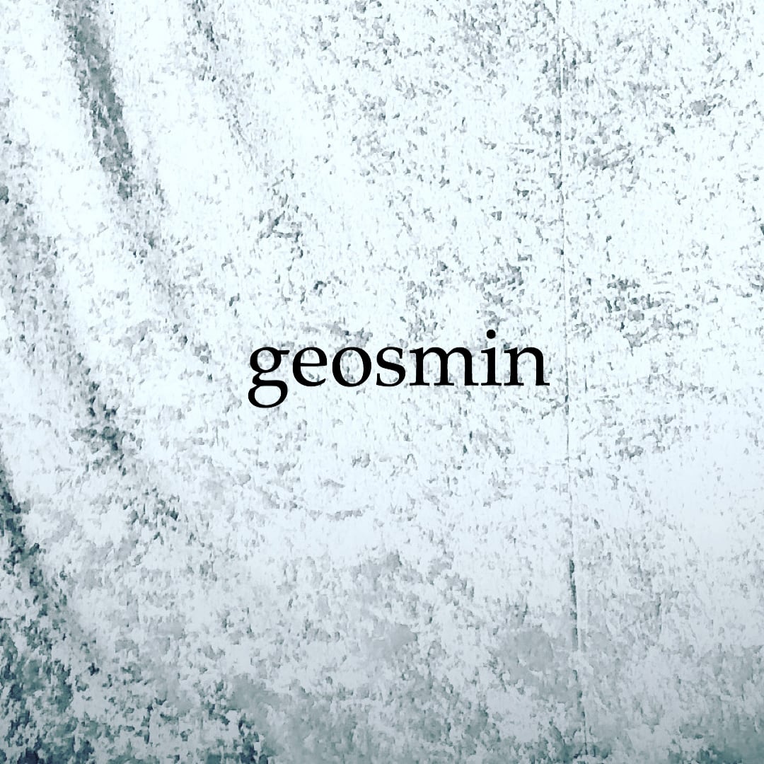 geosmin